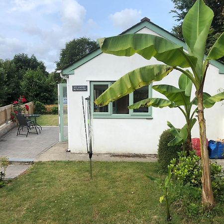 Sycamore Bungalow Perranwell Buitenkant foto